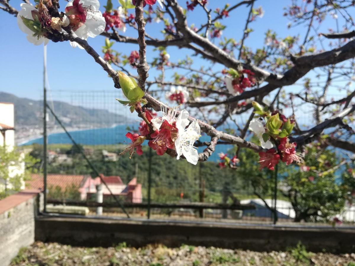 Villa Mariella Taormina Eksteriør billede